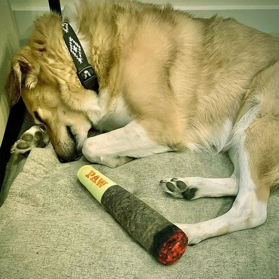 Dog lying on a carpet with a chew toy next to it