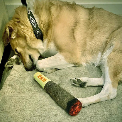 Dog lying on a carpet with a chew toy next to it