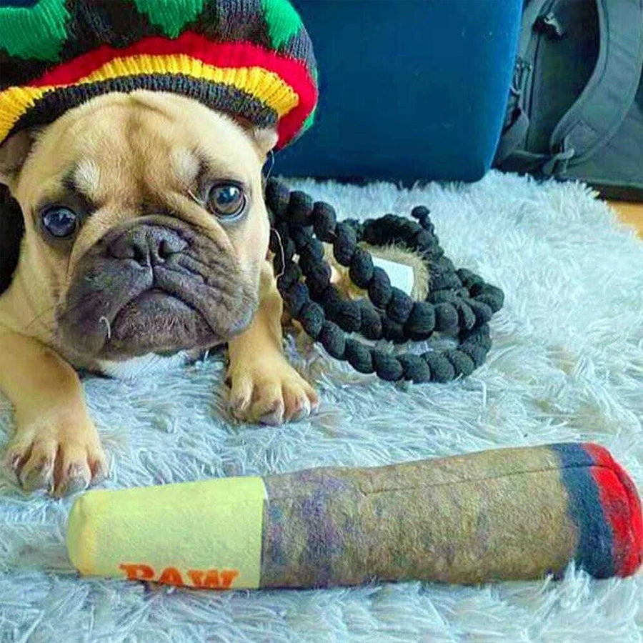 Dog wearing a colorful hat with a toy on a fluffy white surface